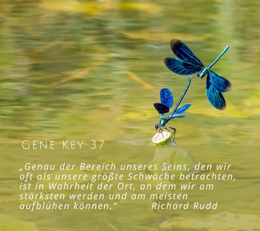 Gene Key 37